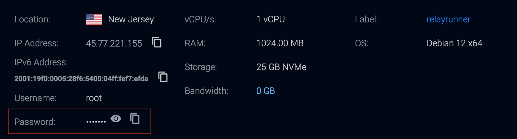 Server Password